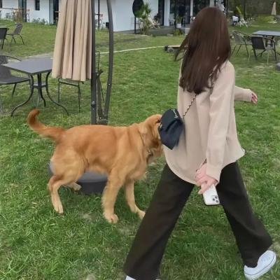 紫禁秘录